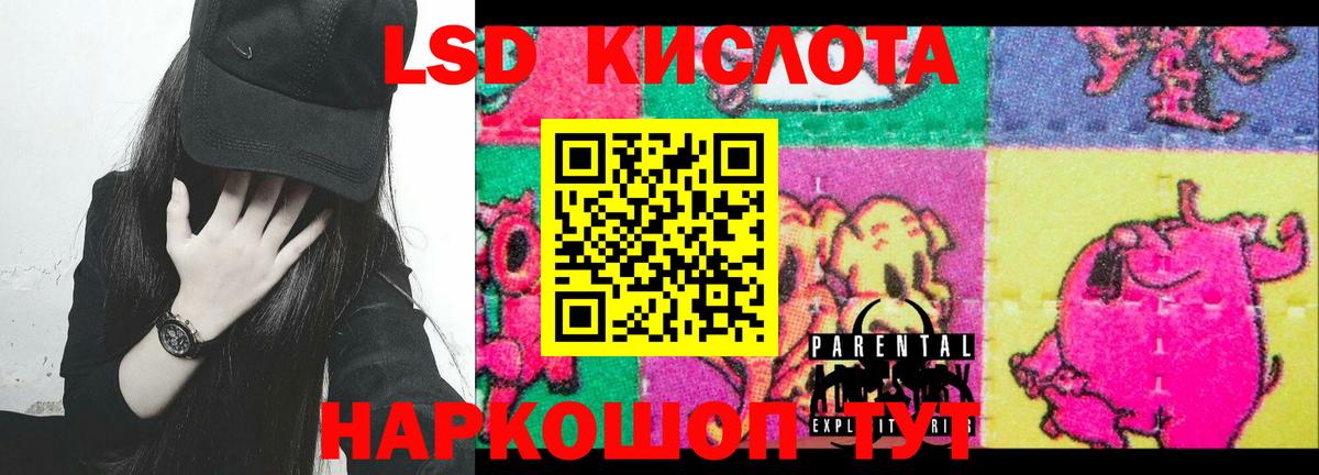 Зеленогорск  LSD-25 экстази кислота  ЛСД экстази кислота  Вход с VPN 